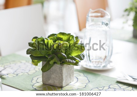 Bunch of basil in stone decorative pot on the table.