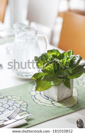 Bunch of basil in stone decorative pot on the table.