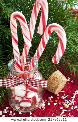 Bunch of red and white striped candy canes in glass jar on christmas green fir background. Close-up