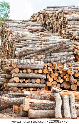 Many stacked wood logs. Outdoors storage.