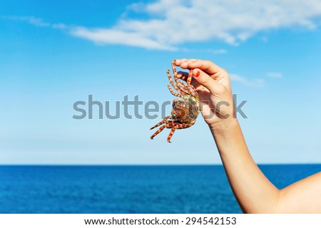 Teenage hand holding a crab on a blue atlantic ocean background. Tenerife, Canary islands, Spain. Multicolored outdoors image.