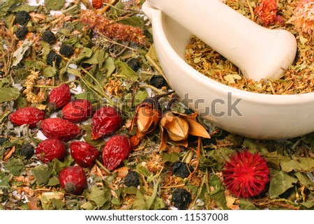 mortar with dry herbs and hips