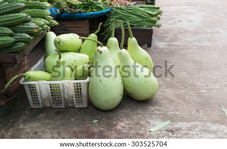 Big bottle gourd in the market