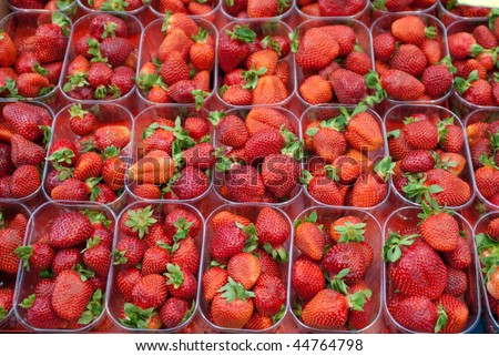 strawberries lined up for sale at a market