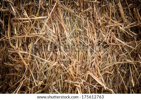 Brown rice straw used as a background