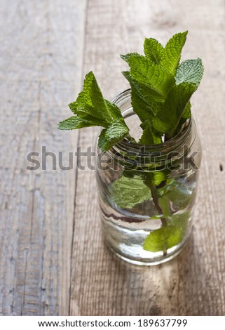 A mint in the cupping-glass on the wooden table
