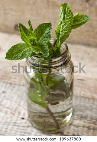 A mint in the cupping-glass on the wooden table