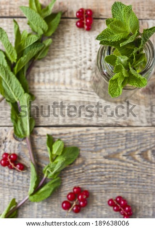 A mint in the cupping-glass with a red currants on the wooden table background