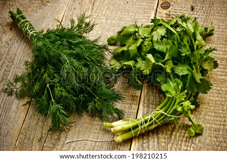 Bunches of green herbs on the wooden table