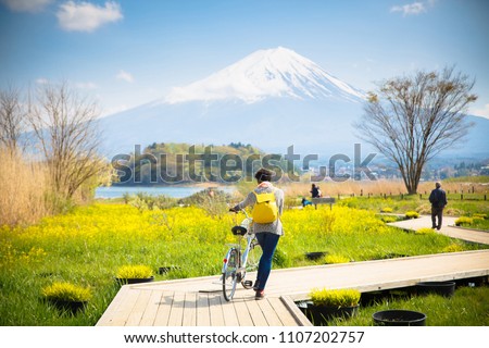 Mt diamond fuji with snow and flower garden along the wooden bridge at Kawaguchiko lake in japan, Mt Fuji is one of famous place in Japan. A women take a bicycle on wooden bridge.