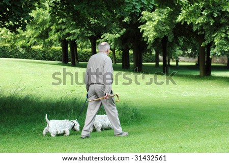 An elderly man with stick  and two dogs walks.