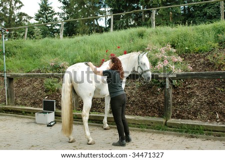 A woman cleans a horse.