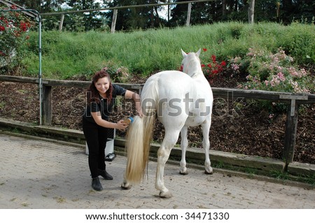 A woman  combs the long tail of the horse.