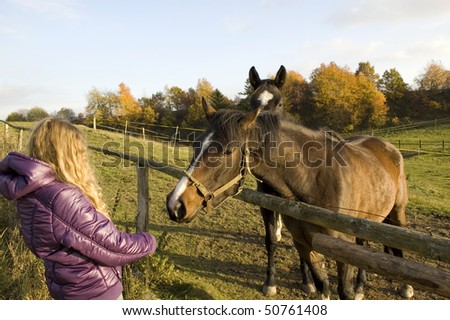 Girl feeding a horse  near the fence of paddock.