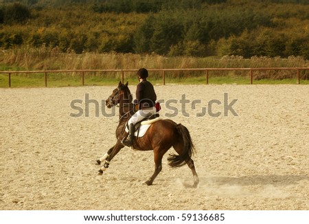 Equestrian Competitions \