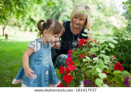 Grandmother and her granddaughter are looking flowers in the park