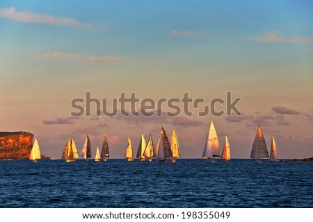 SYDNEY, AUSTRALIA - FEBRUARY 6, 2014: golden light shines on the sails of yachts from a local yacht club passing North Head and entering the harbour after an ocean race at sunset.