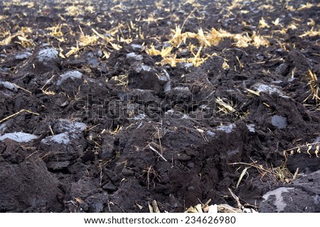 Plowed field (black earth)  after harvest. Ukraine