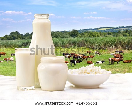 Milk, cottage cheese and sour cream on the background of meadows with cows