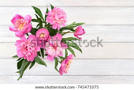 Bouquet of pink peonies on background of white painted wooden planks. Top view, flat lay.