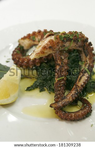 Delicious Cooked Octopus, Served on a Plate