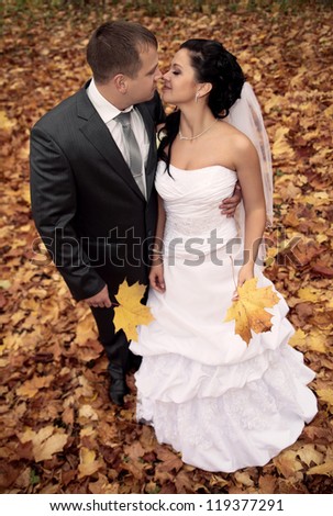 wedding theme, the bride and groom are in the maple leaves on grass