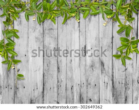 Vine leaves with small flower frame over wood background