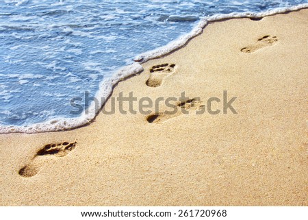 Sea shore. Human footprints on a sandy beach. Shallow depth of field. Focus on the center of the image