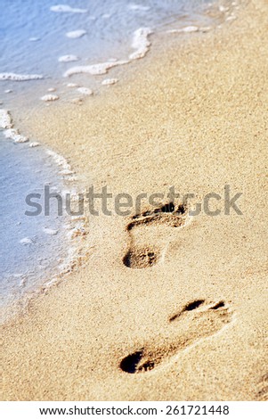 Beach. Human footprints on sand. Shallow depth of field. Focus on the center of the image