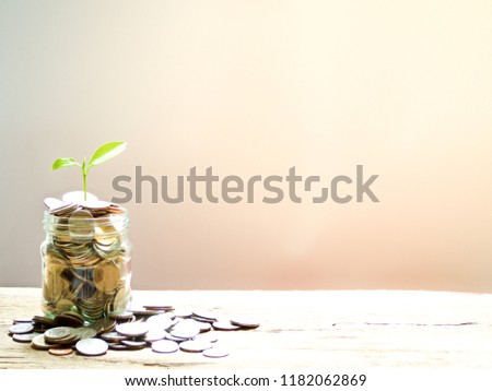 Plant growing from coins money in glass jar on wooden table with copy space, saving or investment concept