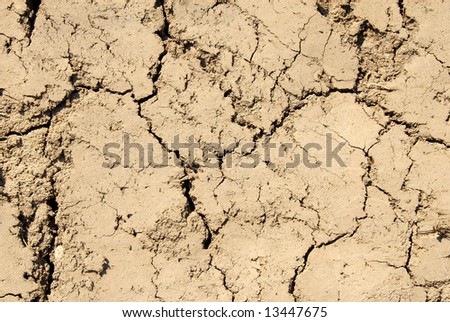 Cracked mud texture
