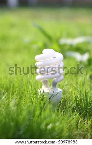 light bulb on a grass