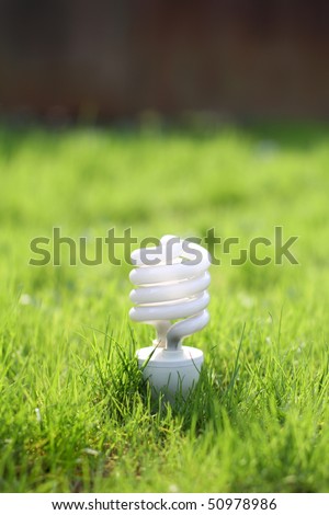 light bulb on a grass