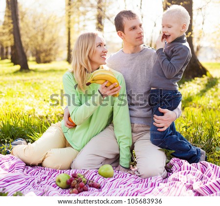 happy young family having a picnic in the park on a summer day (focus on the woman)