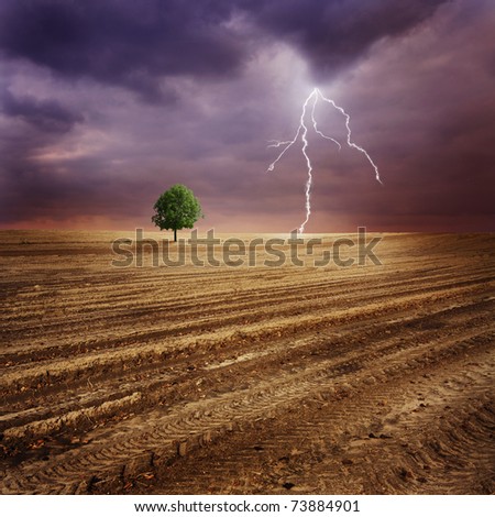 Lone tree and lightning
