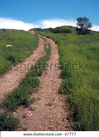 path uphill, Colorado