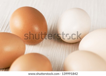 Different kind of eggs, from white to brown