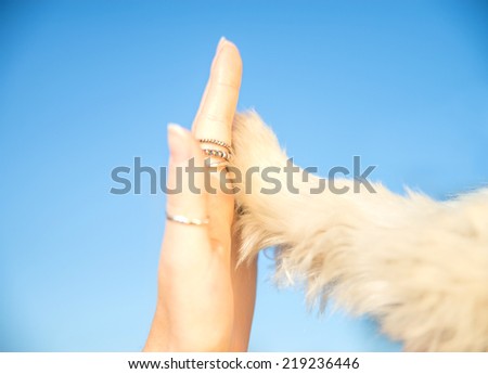 Give me five - Human hand and dog\'s paw