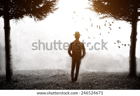 man watching landscape in the fog