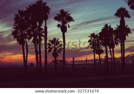 Sunset colors with palms silhouettes in Santa monica, Los angeles. concept about travels