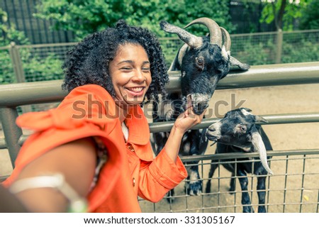 Afro american woman taking a selfie in a zoo - Pretty woman having fun feeding sheep in a city zoo