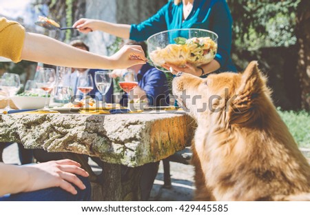 Group of friends eating outdoor. sitting outside and enjoying food. Woman feeding her dog