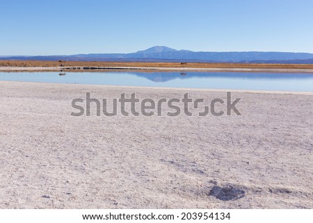 View of a salt lake near San pedro de Atacama, Atacama Desert, Chile