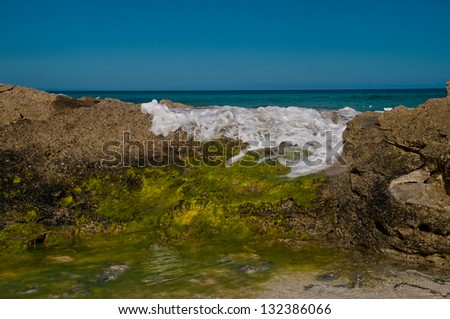 ocean wave rolling over rocks on a beach.  rocks are covered in gree algae and white foam in visible on the water.  copy space in the clear blue sky