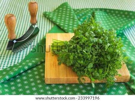 Bunch of fresh green coriander (cilantro) on wooden chopping board, closeup