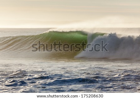 Wave Wall Perfection Morning back-light good size ocean wave wall of water upright crashing on shallow reefs