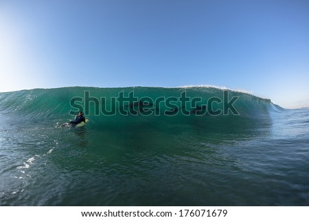 Surfer Dolphins Wave Surfing Ocean Dolphins Encounter  surfer face to face surfing wave swell before crashing onto shallow reef.