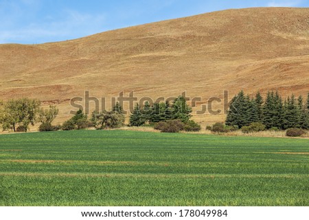 Mountains Farm Field Bales Rural farm field in the mountains with fresh cut grass cattle feed bales scattered over the colorful landscape