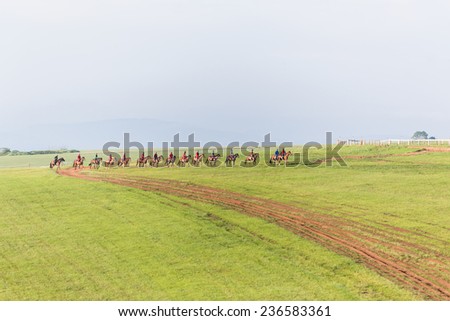 Race Horses Riders Training Landscape\
Race Horses riders training sand grass track landscape