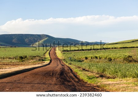 Farm Road Landscape Dirt road through agriculture farming scenic landscape